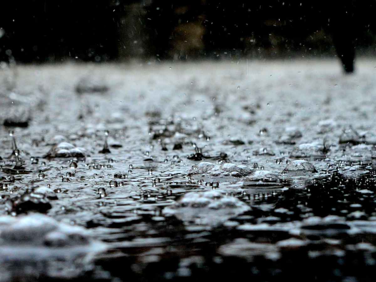 Summer Rain Making Brief&nbsp;Comeback